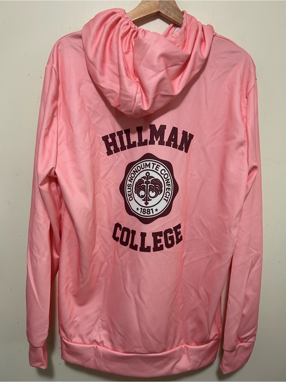 NWT pink jersey hoodie